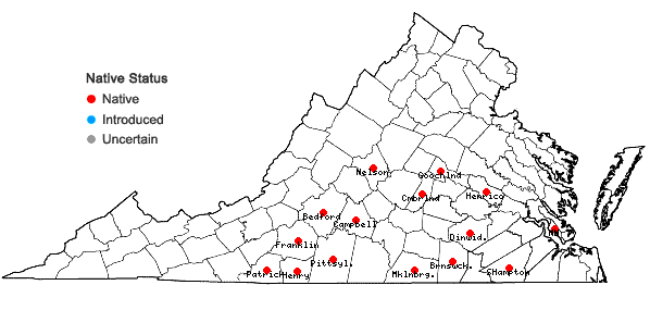 Locations ofAbdra brachycarpa (Nuttall ex Torrey & A. Gray) E.L. Greene in Virginia
