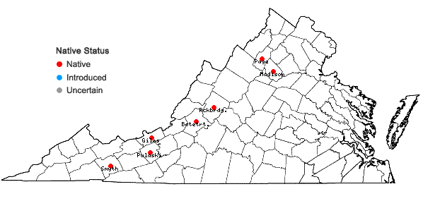 Locations ofAbietinella abietina (Hedw.) M. Fleisch. in Virginia