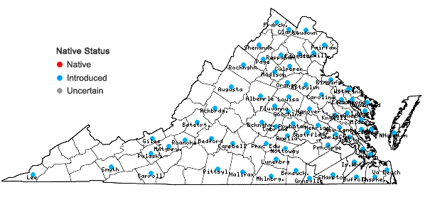 Locations ofAbutilon theophrasti Medik. in Virginia