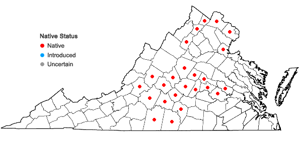 Locations ofAcalypha deamii (Weatherby) Ahles in Virginia