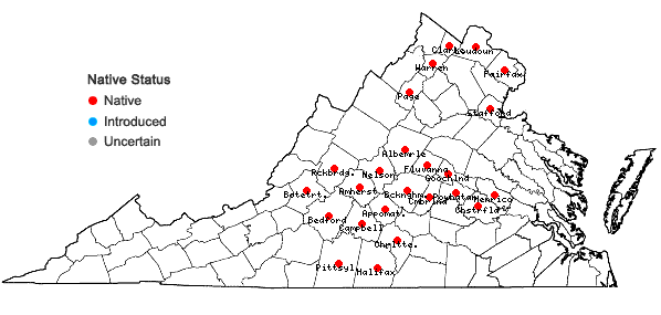 Locations ofAcalypha deamii (Weatherby) Ahles in Virginia