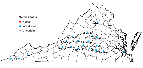 Locations ofAcalypha ostryifolia Riddell in Virginia