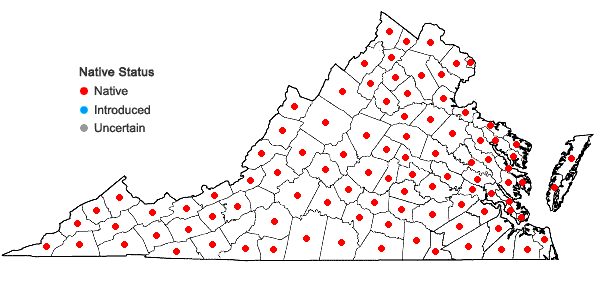 Locations ofAcalypha rhomboidea Raf. in Virginia