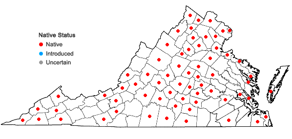 Locations ofAcalypha virginica L. in Virginia