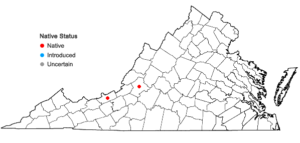 Locations ofAcaulon triquetrum (Spruce) Müll. Hal. in Virginia
