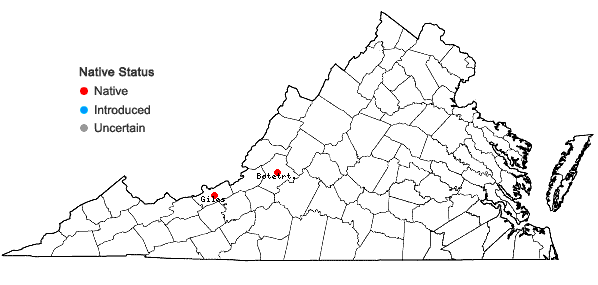 Locations ofAcaulon triquetrum (Spruce) Müll. Hal. in Virginia