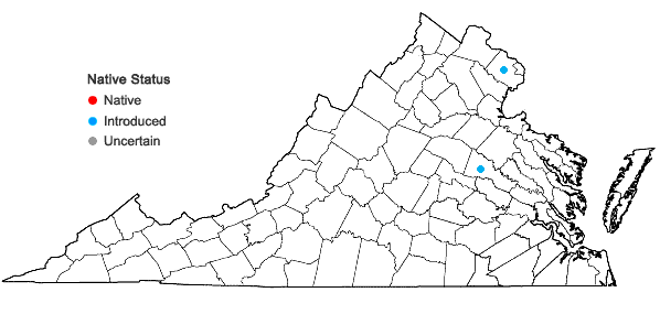 Locations ofAcer ginnala Maxim. in Virginia