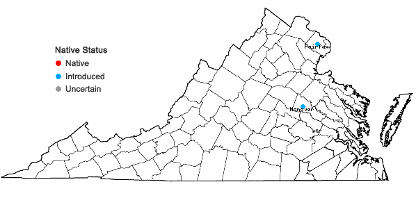 Locations ofAcer ginnala Maxim. in Virginia