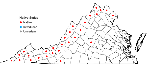 Locations ofAcer nigrum Michx. f. in Virginia