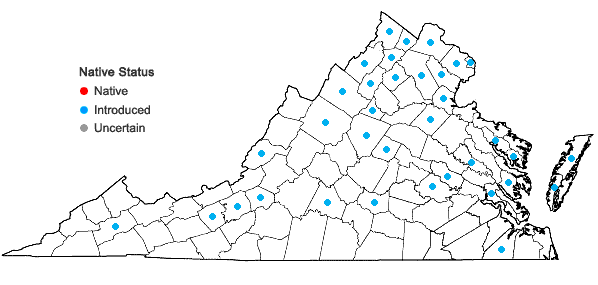 Locations ofAcer platanoides L. in Virginia