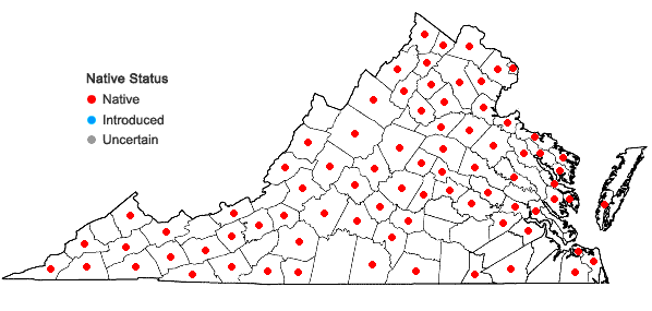 Locations ofAcer saccharinum L. in Virginia