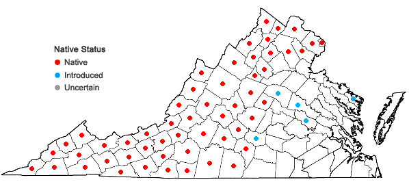 Locations ofAcer saccharum Marshall var. saccharum in Virginia