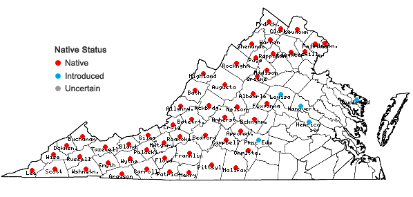 Locations ofAcer saccharum Marshall in Virginia