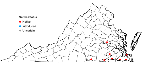 Locations ofAcetosa hastatula (Baldwin) Á. Löve in Virginia