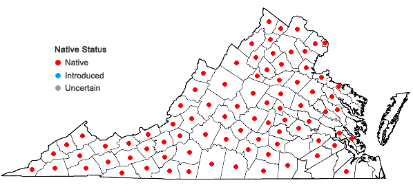 Locations ofActaea racemosa L. in Virginia