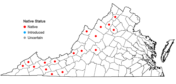 Locations ofAdlumia fungosa (Ait.) Greene ex BSP in Virginia