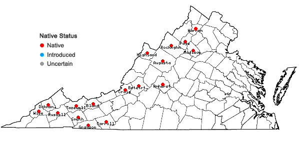 Locations ofAdlumia fungosa (Ait.) Greene ex BSP in Virginia