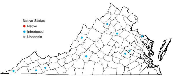 Locations ofAegopodium podagraria L. in Virginia
