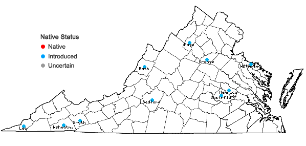Locations ofAegopodium podagraria L. in Virginia