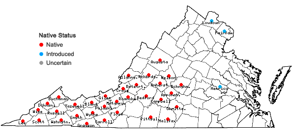 Locations ofAesculus flava Solander in Virginia