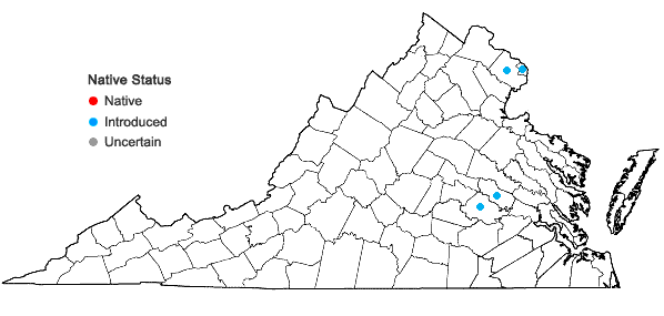 Locations ofAesculus pavia L. var. pavia in Virginia