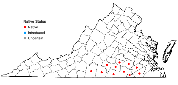 Locations ofAesculus sylvatica Bartr. in Virginia