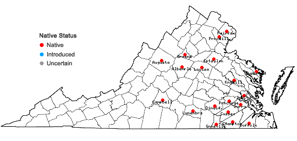 Locations ofAgalinis obtusifolia Raf. in Virginia