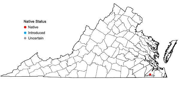 Locations ofAgalinis virgata Raf. in Virginia