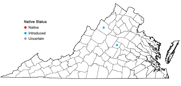 Locations ofAgastache rugosa (Fisch. & C.A. Meyer) Kuntze in Virginia