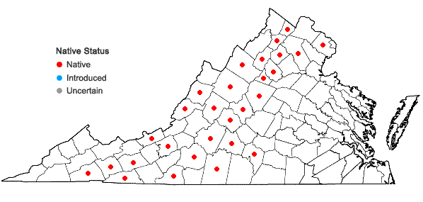 Locations ofAgastache scrophulariifolia (Willd.) Kuntze in Virginia