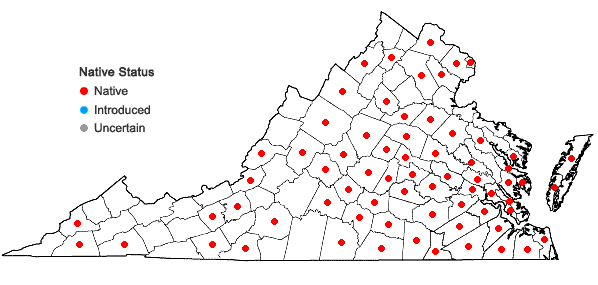 Locations ofAgeratina aromatica (L.) Spach in Virginia