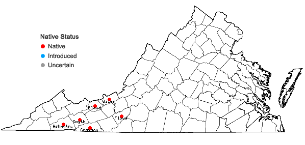 Locations ofAgeratina roanensis (Small) E.E. Lamont in Virginia