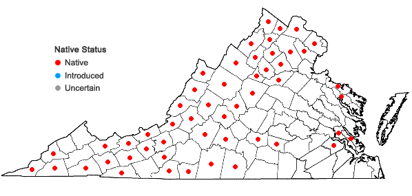 Locations ofAgrimonia gryposepala Wallr. in Virginia