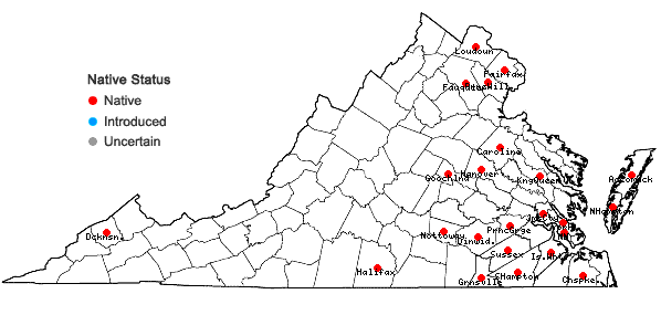 Locations ofAgrimonia microcarpa Wallr. in Virginia