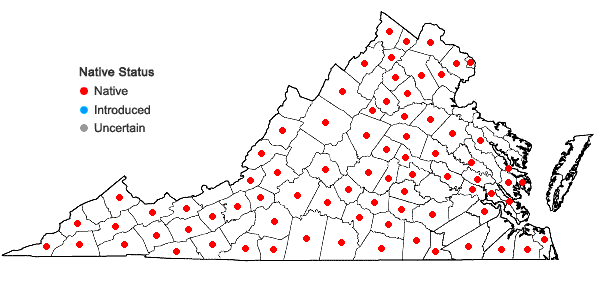 Locations ofAgrimonia parviflora Ait. in Virginia