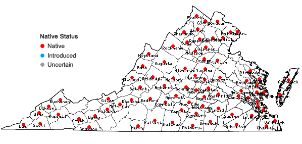 Locations ofAgrimonia pubescens Wallr. in Virginia