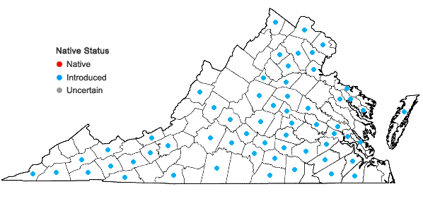 Locations ofAgrostemma githago L. var. githago in Virginia
