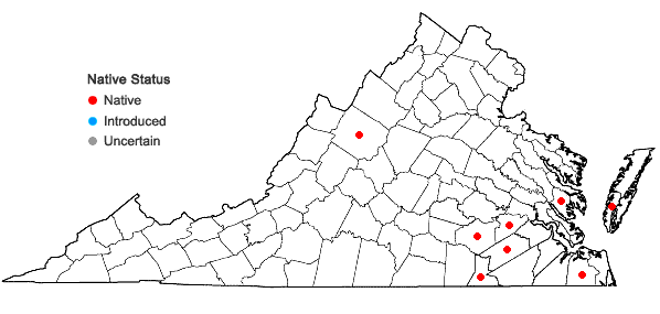 Locations ofAgrostis altissima (Walt.) Tuckerm. in Virginia