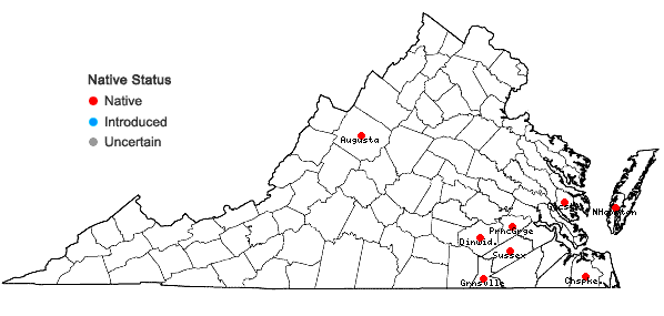 Locations ofAgrostis altissima (Walt.) Tuckerm. in Virginia
