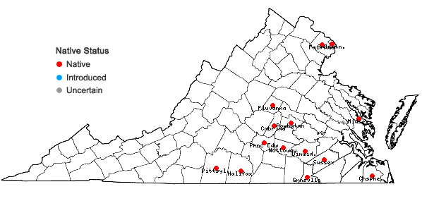 Locations ofAgrostis elliottiana J.A. Schultes in Virginia