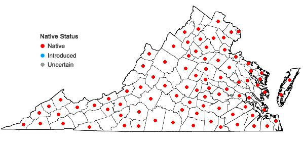 Locations ofAgrostis hyemalis (Walt.) B.S.P. in Virginia