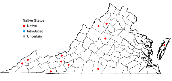 Locations ofAgrostis scabra Willd. in Virginia