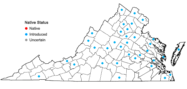 Locations ofAgrostis stolonifera L. in Virginia