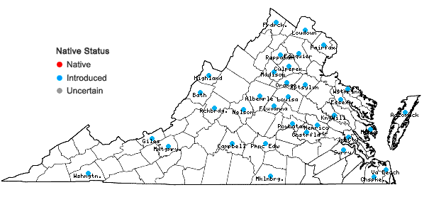 Locations ofAgrostis stolonifera L. in Virginia