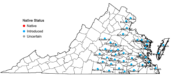 Locations ofAira elegans Willd. ex Kunth in Virginia