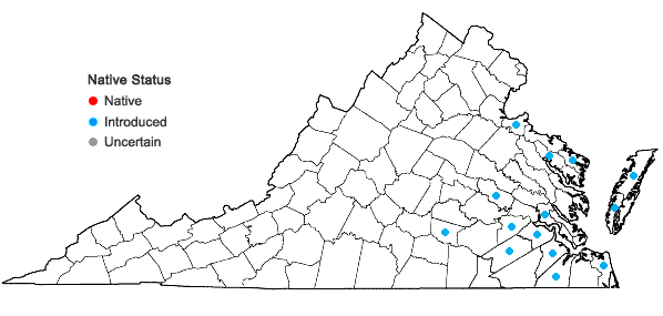 Locations ofAira praecox L. in Virginia