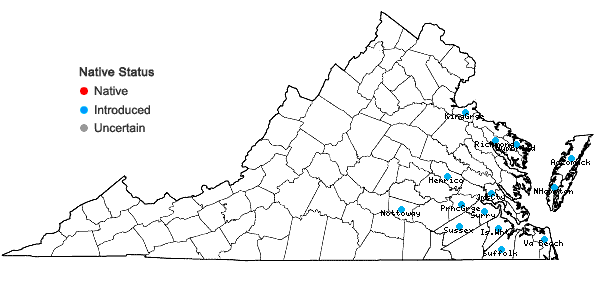 Locations ofAira praecox L. in Virginia