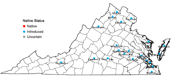 Locations ofAjuga reptans L. in Virginia