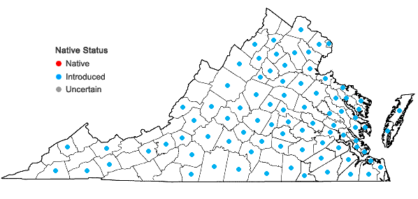 Locations ofAlbizia julibrissin Durazz. in Virginia