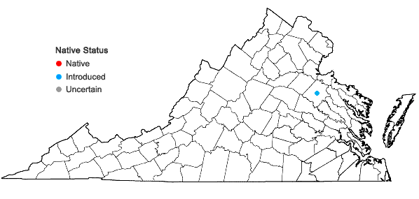 Locations ofAldrovanda vesiculosa L. in Virginia